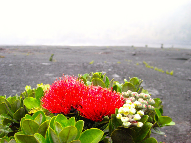 I am speaking at Online Marketing Summit in San Diego