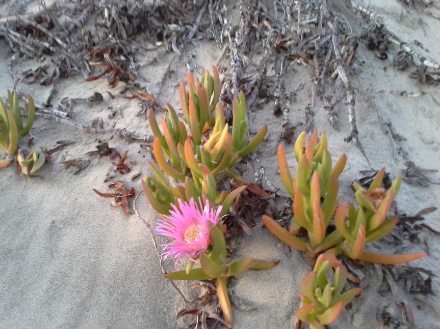 Don’t Send me Link Building Emails Like This