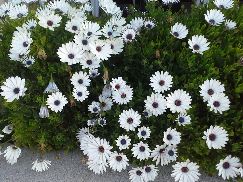 Are Consumers Now Interested in Purchasing Wearable Computers?