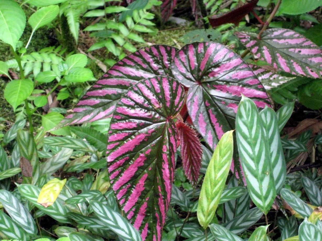 Google Analytics Clean Data Collection = Rockin’ Insights