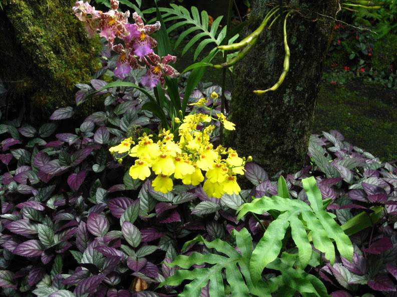 The Power of Author Rank (rel=author)