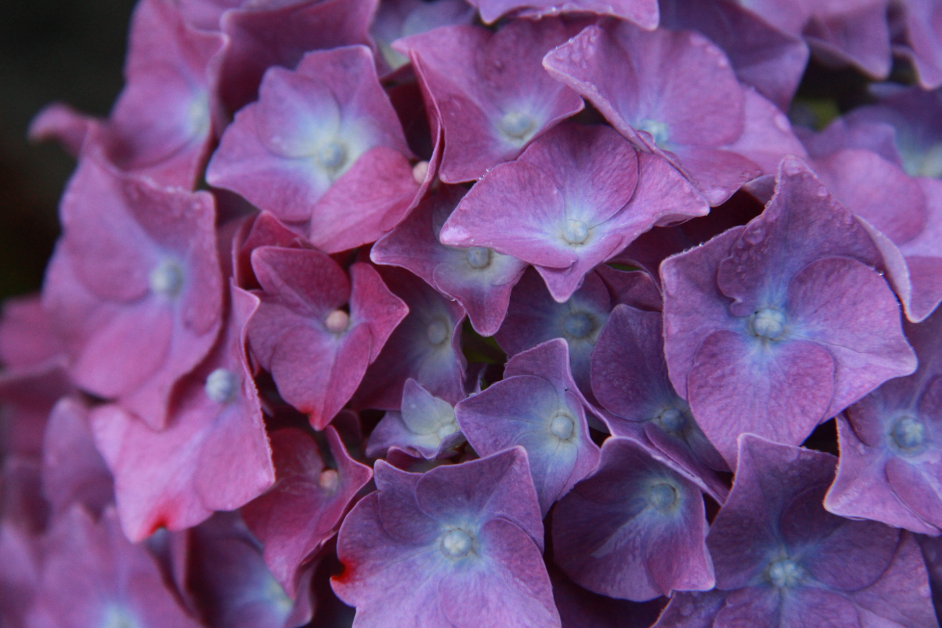 The Power of Google Analytics URL Tagging