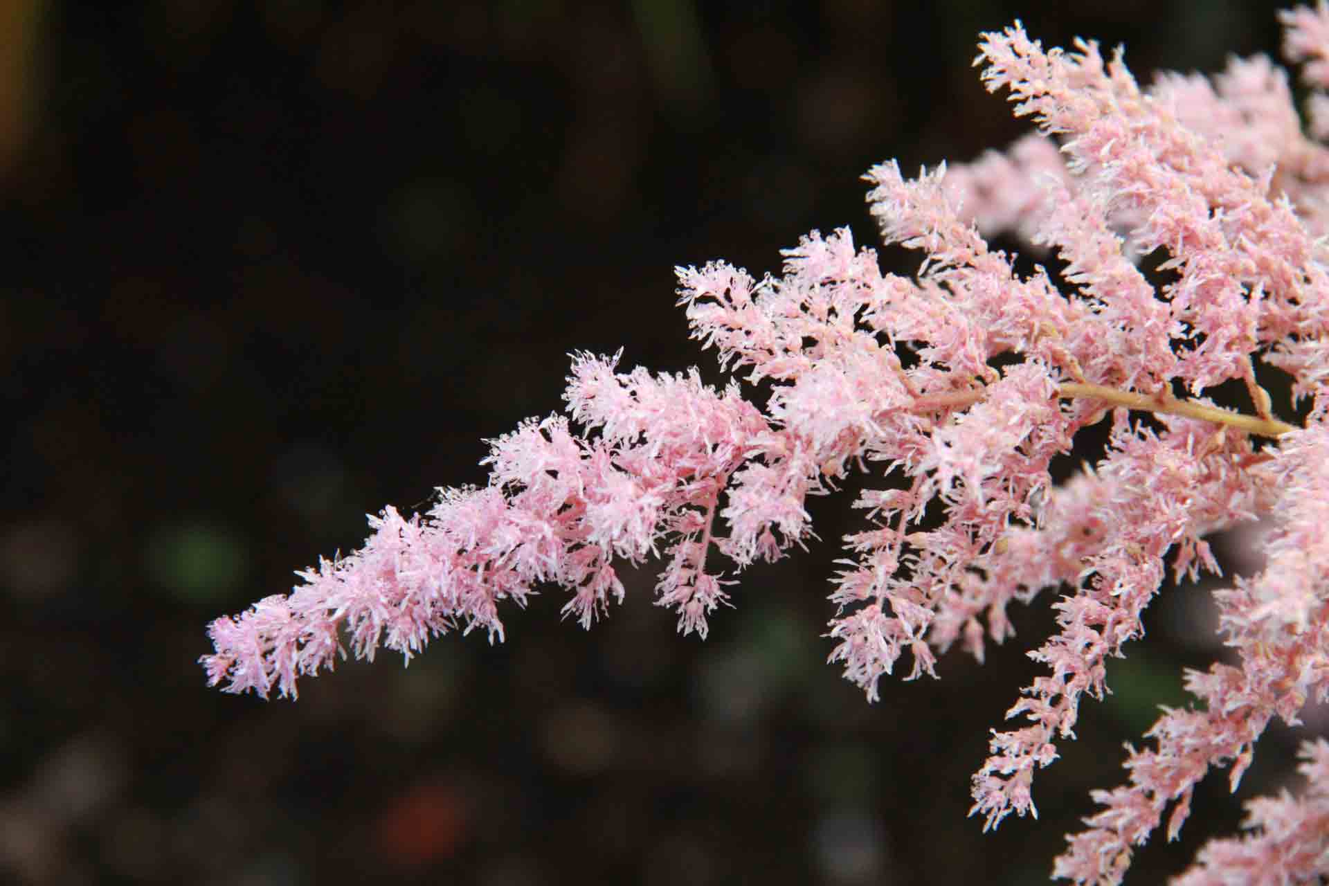 A Collection of Link Building Email Templates