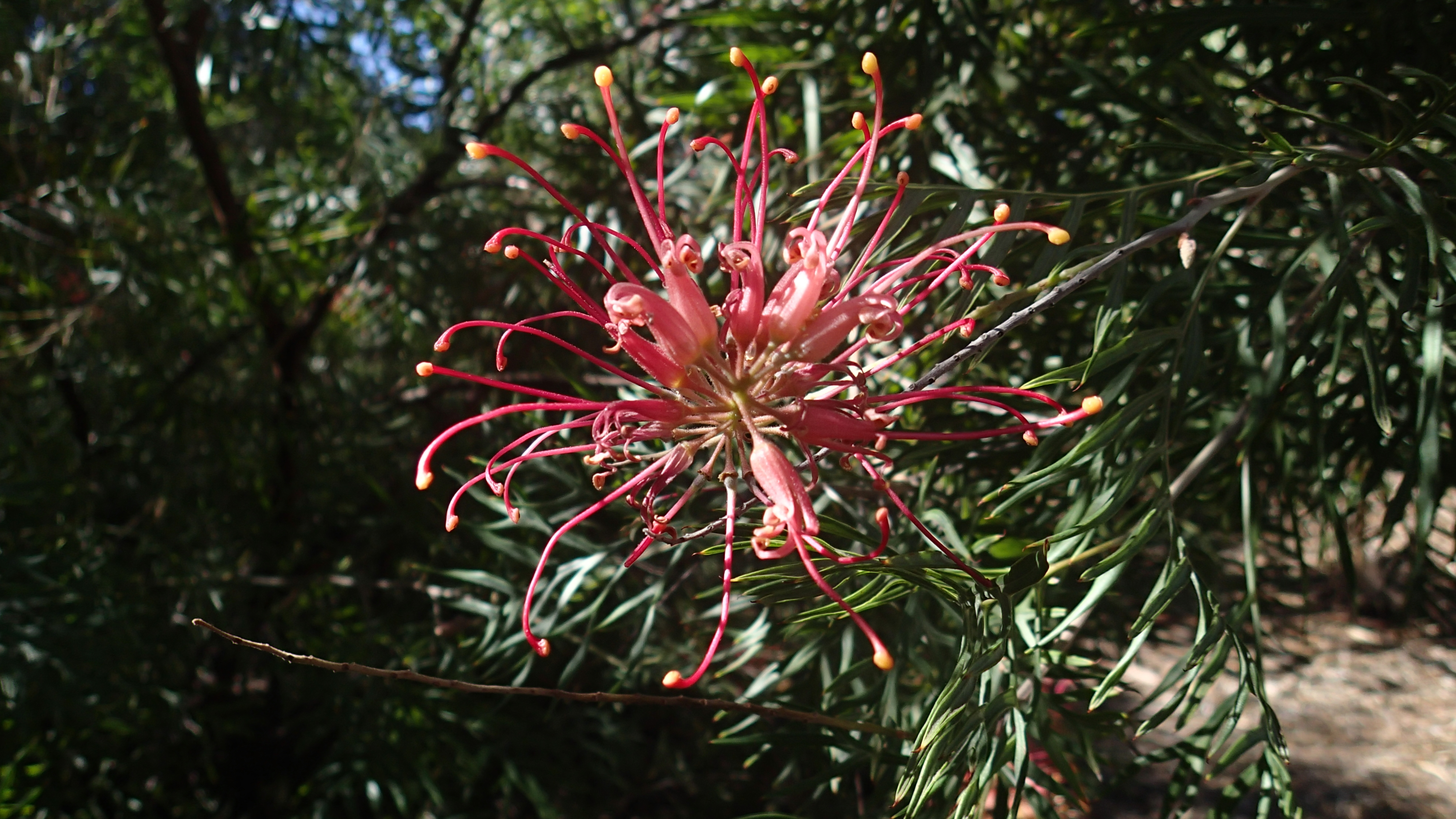 Insights from SMX Advanced 2013 Day Two