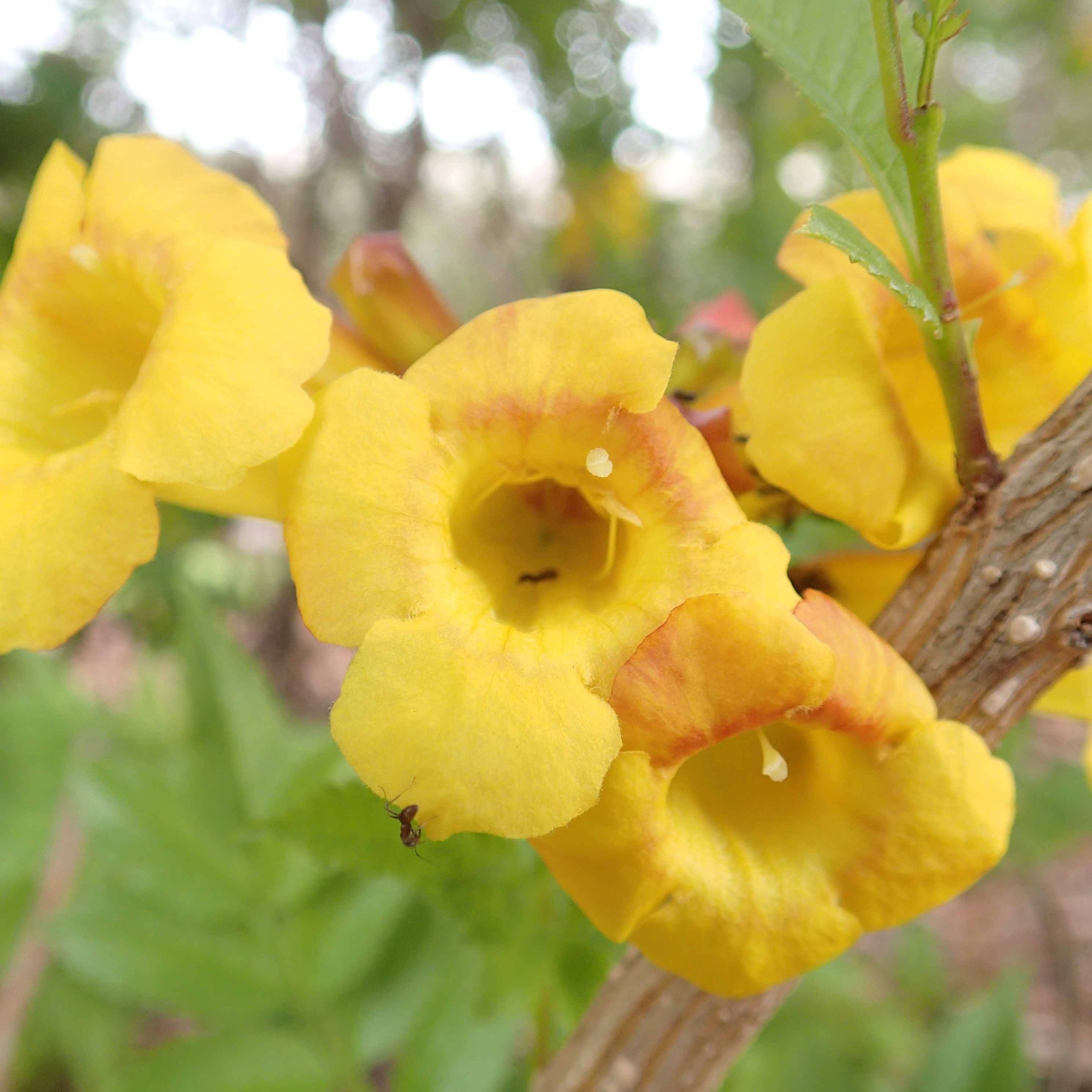 Insights from SMX Advanced 2013 Day One