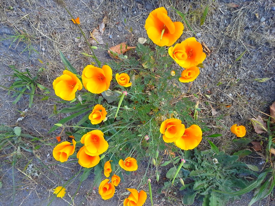 Social media content – best practices based on research