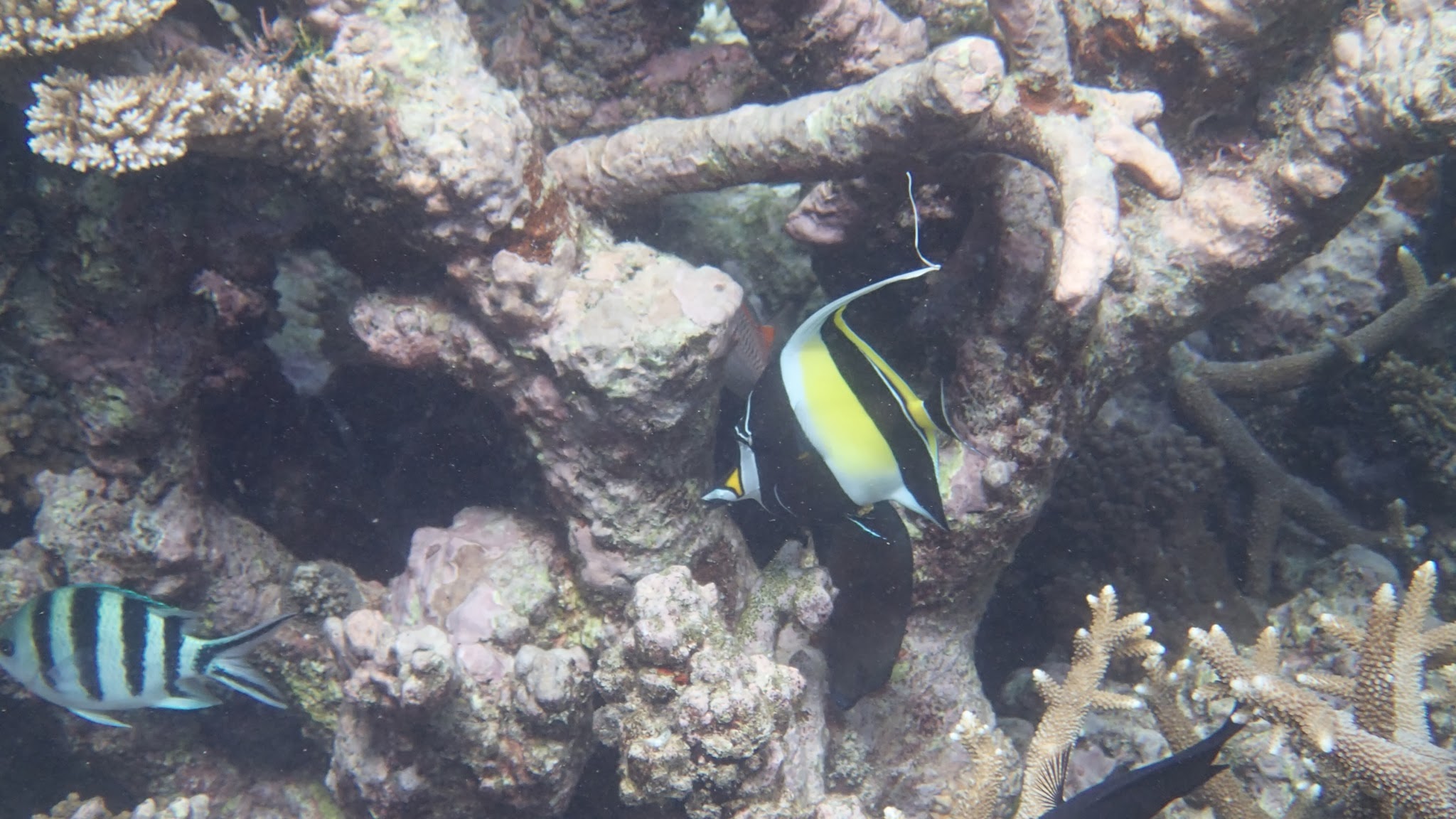 The Power of Technical SEO Fixes – A Technical SEO Case Study