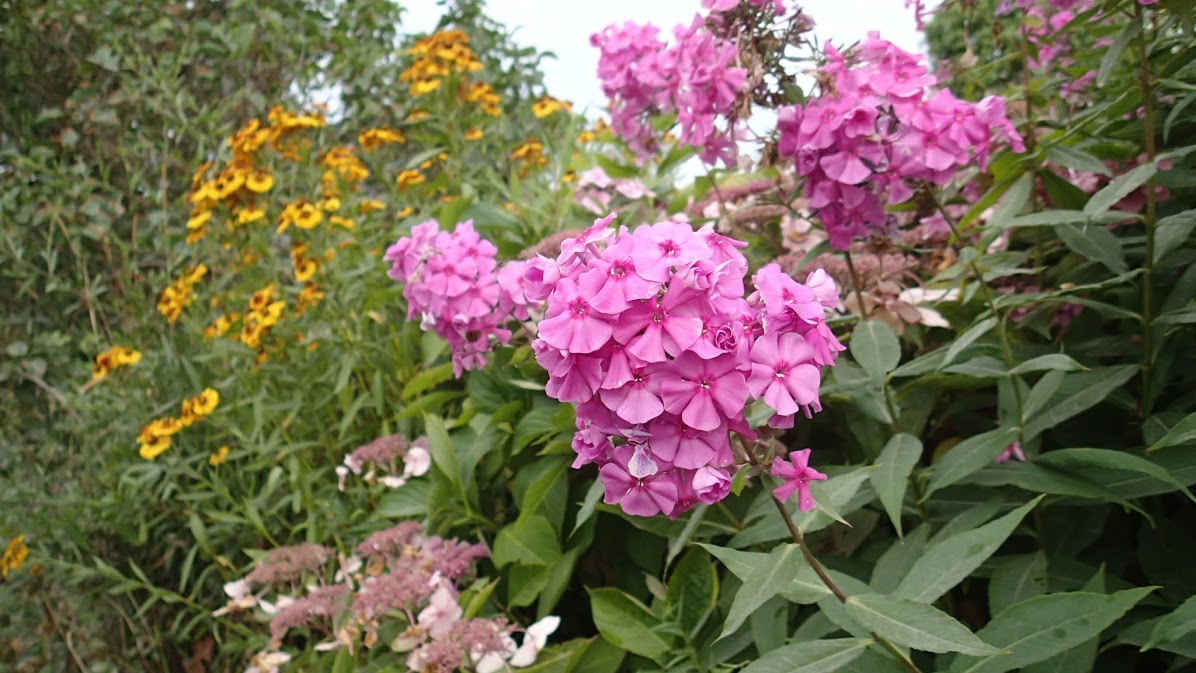 PredictionIO – Open Source Machine Learning and its Impact on Marketing