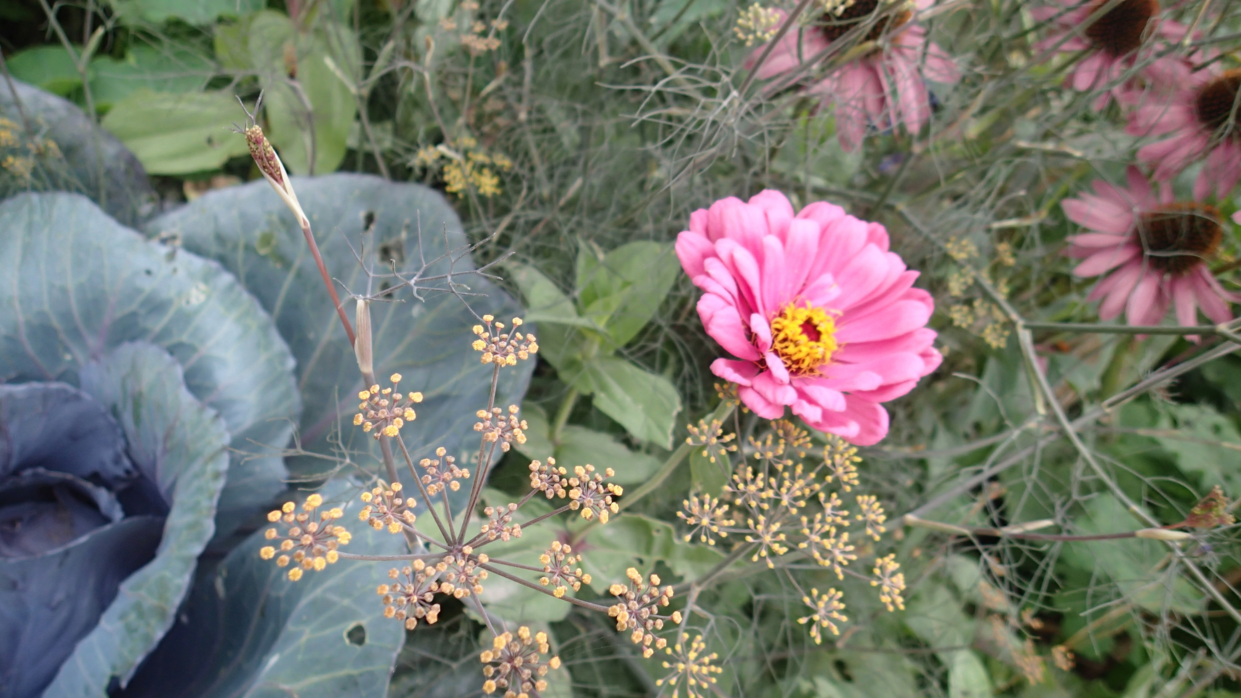 Social Media Personalization – SlideShare