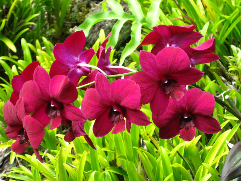 Influencing Google’s Knowledge Graph: a planning guide