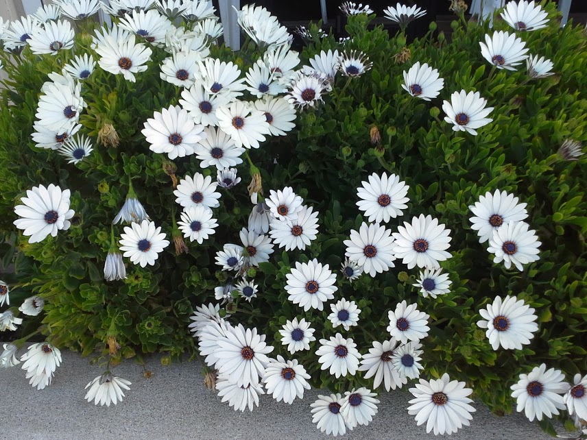 Social media personalization – How are you reaching your users?