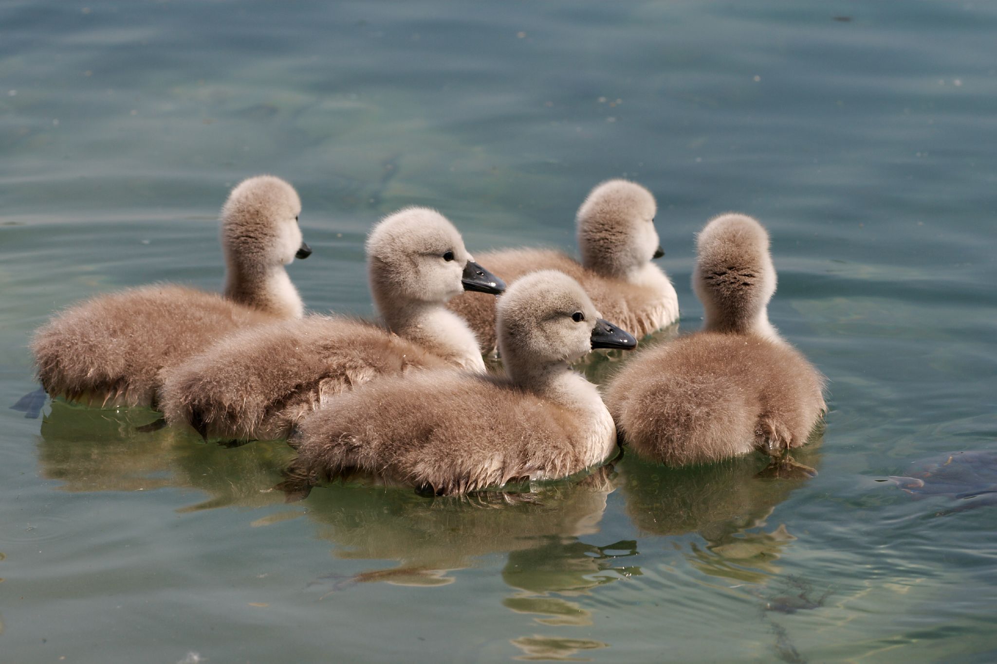 Recruiting and Retaining your Online Marketing Team