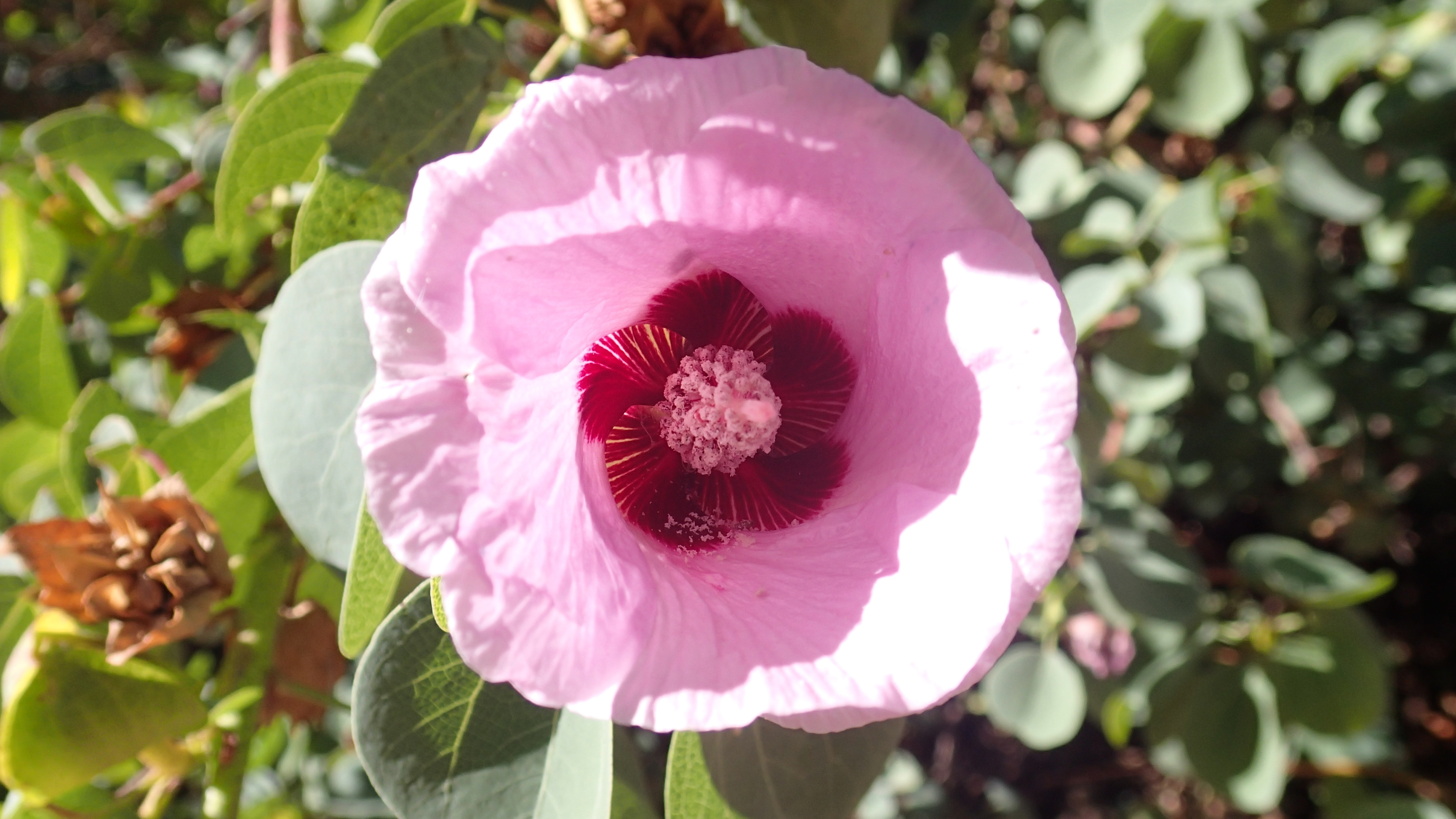 Is Google Using Human Raters to Evaluate Google Plus Content?